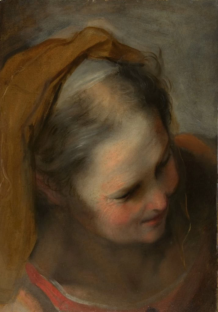 Testa di vecchia - Metropolitan Museum of Art, New York, Barocci Federico